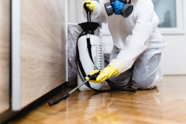 Best Termite Control Services  in Mcgehee, AR
