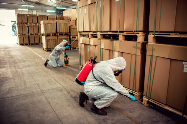 Best Emergency Pest Control  in Mcgehee, AR