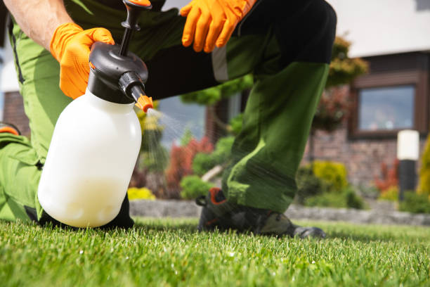 Best Affordable Pest Control Services  in Mcgehee, AR