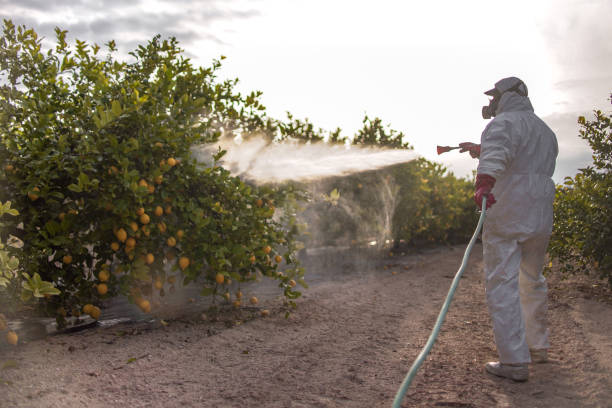 Best Mosquito Control Services  in Mcgehee, AR