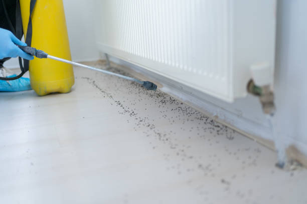 Pest Prevention Services in Mcgehee, AR