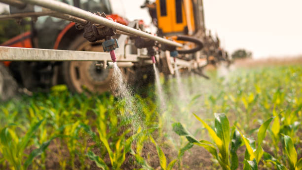 Best Insect Control  in Mcgehee, AR